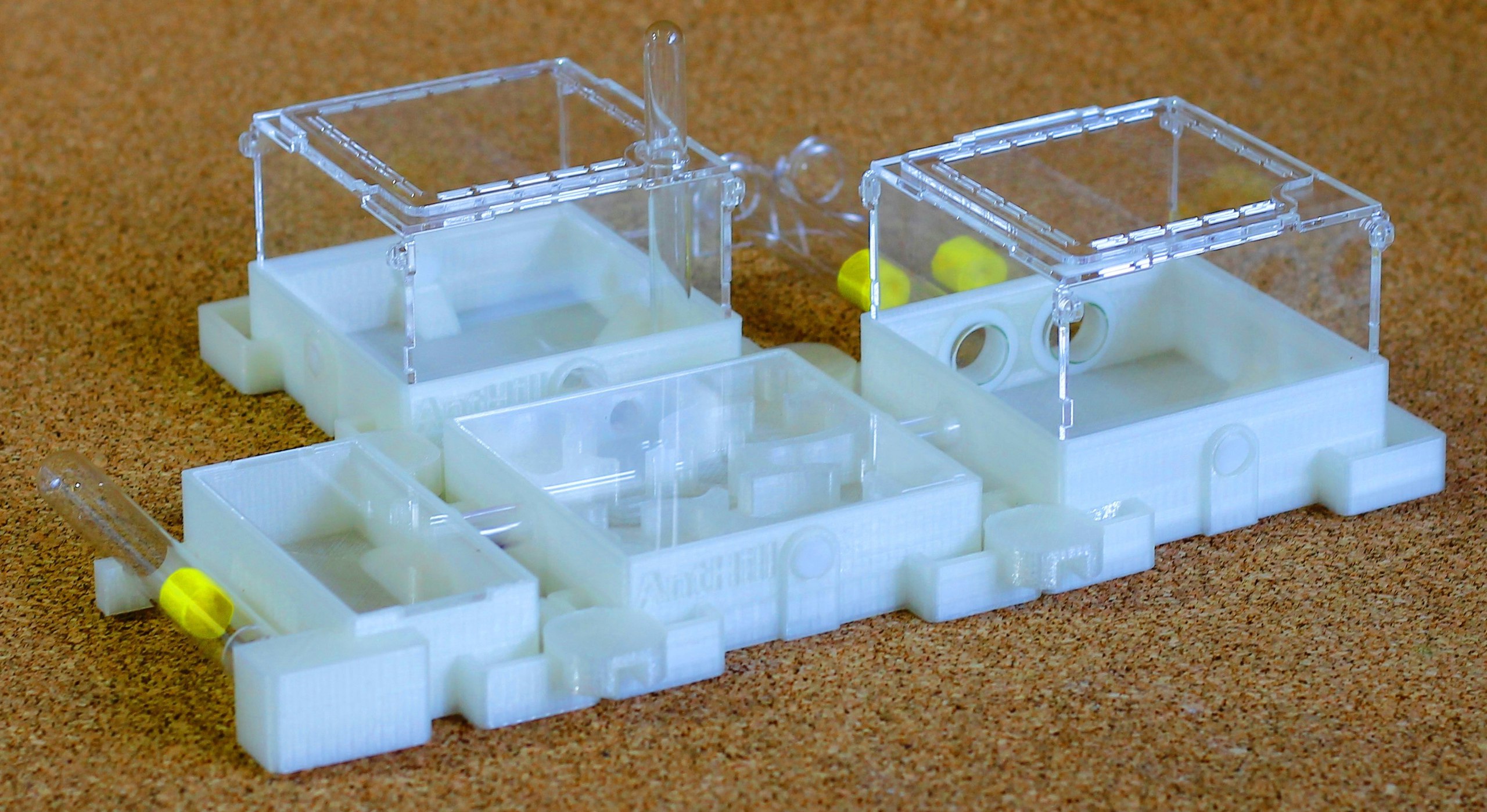 Ant farm