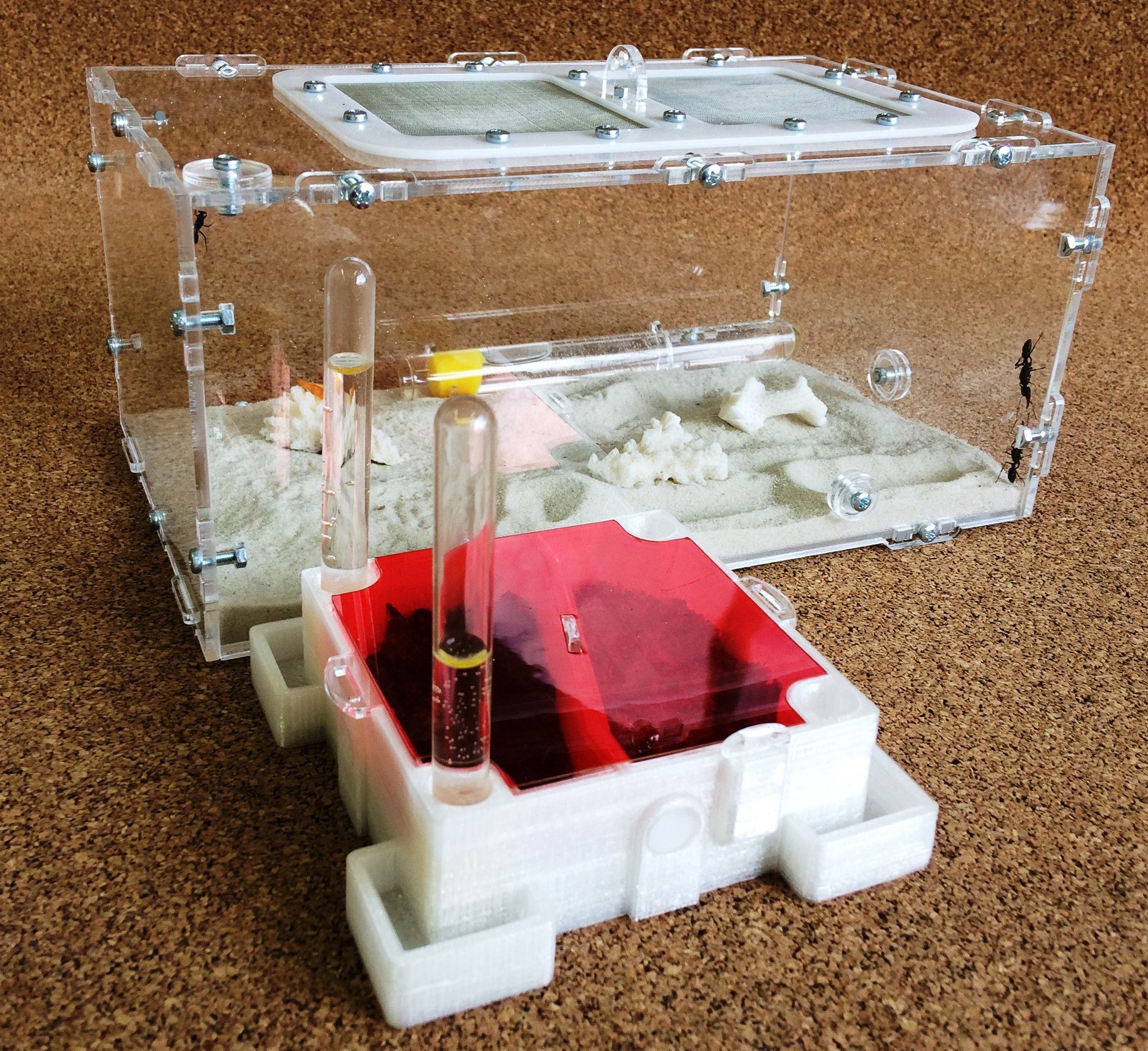 Ant farm